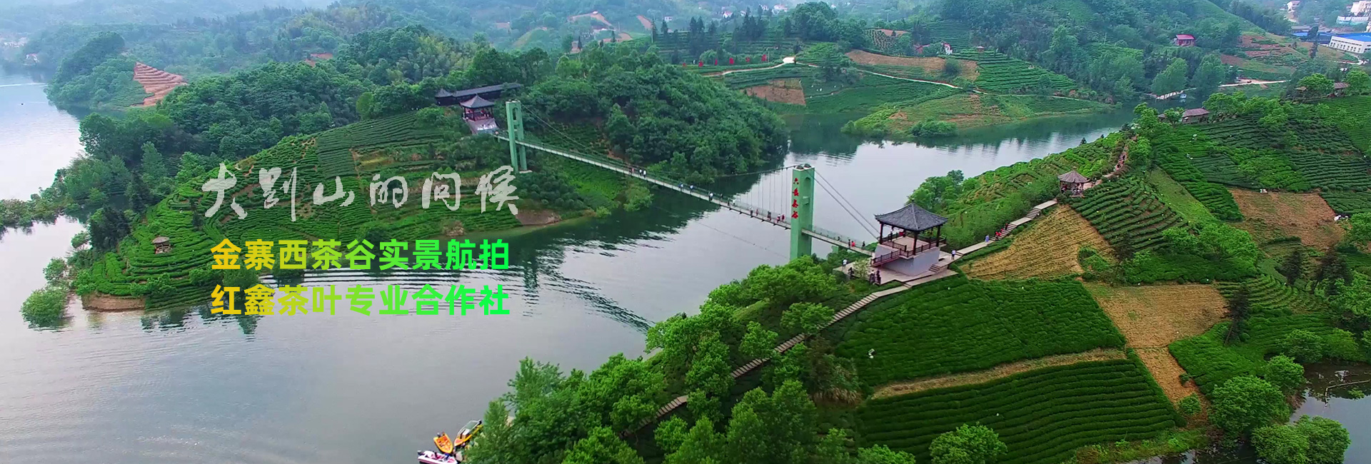 金寨西茶谷
