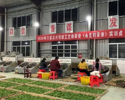 油坊店乡：游玩盛卷徐徐拉开，大好春光只等你来！