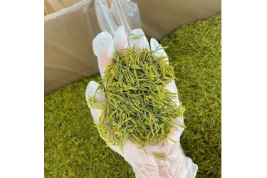 金寨绿茶